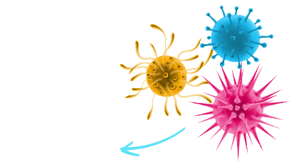 Virus